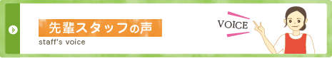 先輩スタッフの声
